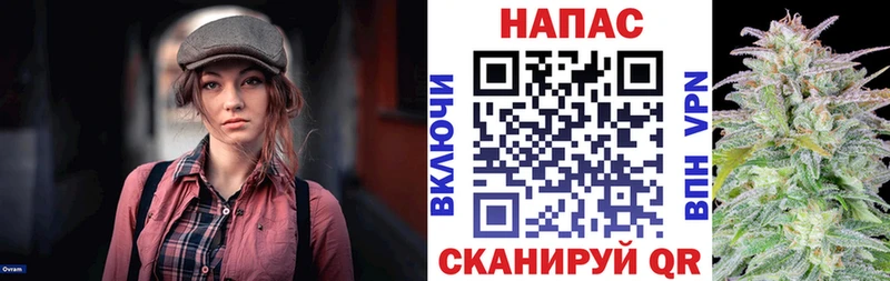 blacksprut рабочий сайт  Усмань  Каннабис сатива 